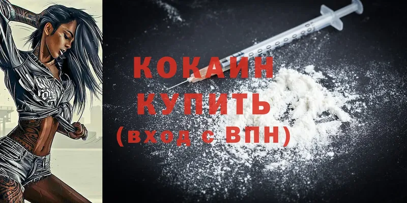 купить наркоту  Ялуторовск  Cocaine FishScale 